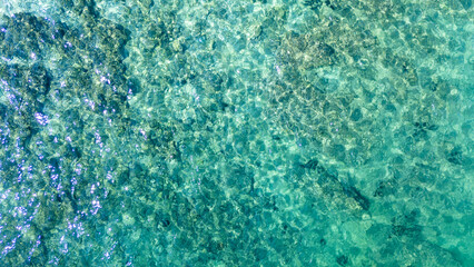 Aerial top view of crystal-clear turquoise sea water with visible underwater texture. Ideal for backgrounds, travel promotions, and marine environment concepts.