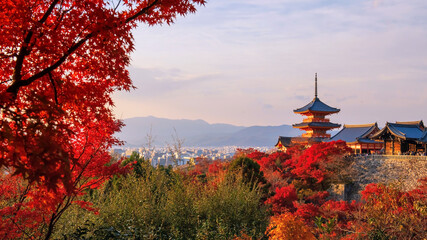Kiyomizu dera temple with maple autumn leaf colors at sunset,Kyoto