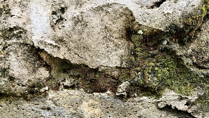 Textured Stone Wall with Moss and Lichen Growth