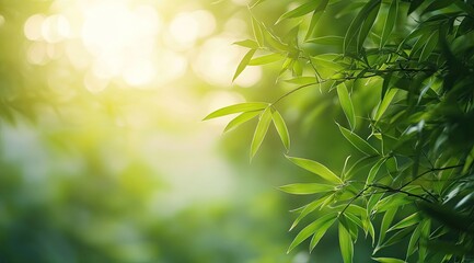 Lush green leaves bathed in sunlight (2)
