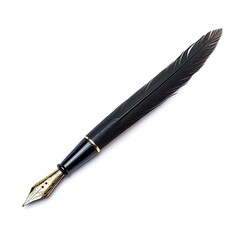 A black fountain pen with a natural feather