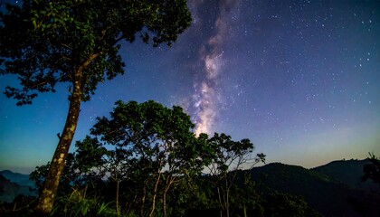 Milky Way over a Mountain Forest