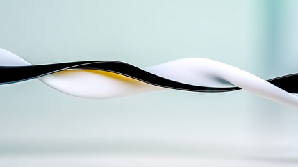 Abstract Black and White Twisting Lines Minimalist Design