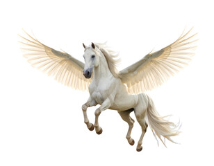 Firefly_A white Pegasus in flight isolated on transparent background