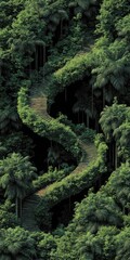 Winding path through a dense, lush green forest.  A serpentine trail snaking through a vibrant canopy of tropical trees