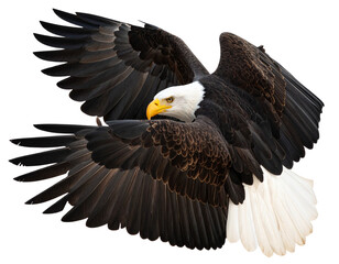 Naklejka premium Firefly_Bald eagle isolated on transparent background