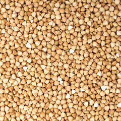 Fototapeta premium Close-up of buckwheat groats (1)
