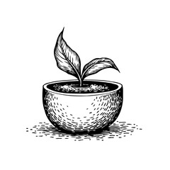 Botanical beginning sprout in ceramic vessel artistic rendering a symbol of growth and development