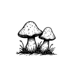 Detailed illustration of two mushrooms nestled among stylized grass creating whimsical natural