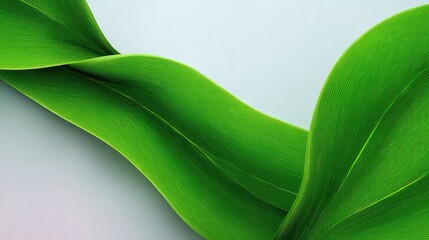 Abstract Green Leaf Texture Background