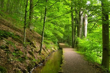Trusetaler Wasserfall in Thüringen