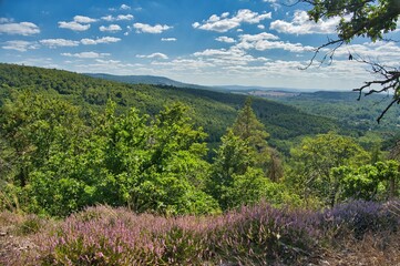 Obraz premium thüringer Wald bei Struth-Helmershof