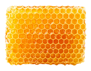 Natural Honeycomb Front View, isolated on transparent background PNG