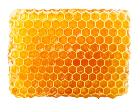 Natural Honeycomb Front View, isolated on transparent background PNG
