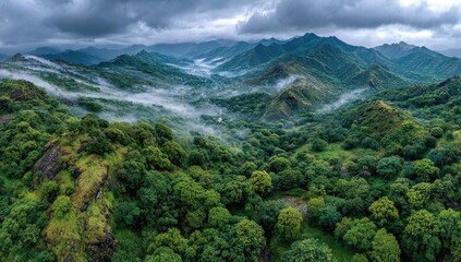 Misty mountain valley, lush green forests
