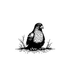 Monochrome avian artwork showcasing a falcon's poised presence amidst a serene and natural setting