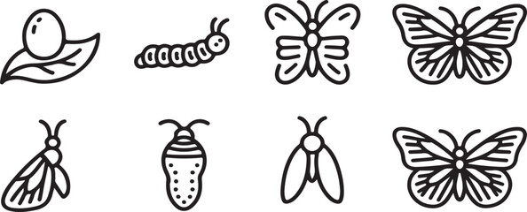 Hand-drawn Insects and Butterfly Life Cycle Stages