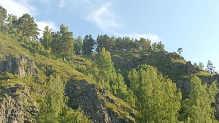 Obraz premium Lush Green Mountain Slope with Trees and Rocks Under a Bright Blue Sky, Scenic Landscape