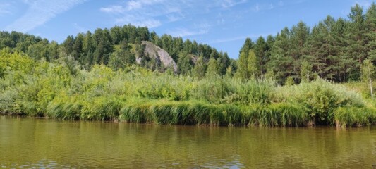 Obraz premium Scenic River View Serene Waters Flowing Through Lush Green Forest Under a Blue Sky, Nature Escape