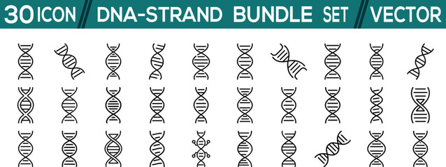 DNA-strand bundle vector icon