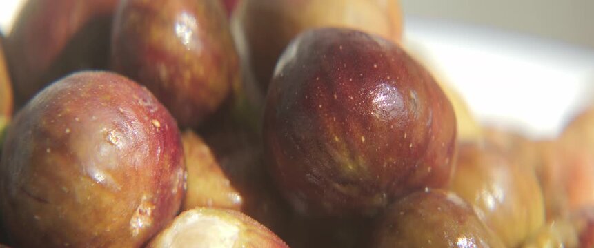 Slow sliding on common fig pile anamorephic 4K footage