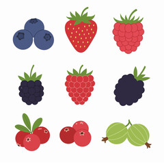 Collection of Fresh Berries: A Colorful Vector Illustration of Blueberries, Strawberries, Raspberries, Blackberries, Cranberries, and Gooseberries