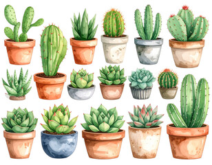 Firefly_Hand-drawn succulents in pots isolated on transparent background  
