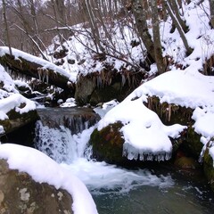 Fototapeta premium Snowy stream cascading over rocks in a winter forest