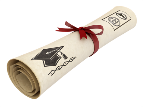 graduation diploma rolled scroll 3d message isolated on transparent background white