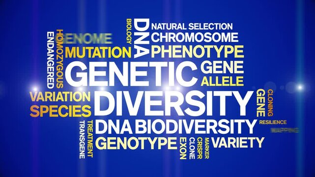Genetic Diversity animated word cloud-text design animation tag kinetic typography seamless loop.