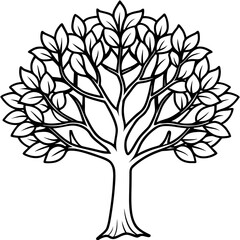 Fototapeta premium Portia Tree line art vector