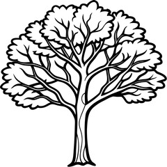 Obraz premium Portia Tree line art vector
