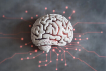 Futuristic concept of a mind-machine interface showing a human brain model integrated with a glowing circuit, illustrating digital consciousness and AI