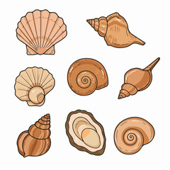 Illustrated Variety of Seashells and Oyster. Hand-drawn marine mollusk shells including scallop, conch, and bivalve designs on white.
