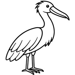 Shoebill line art vector