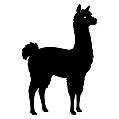 Fototapeta premium A llama silhouette vector illustration