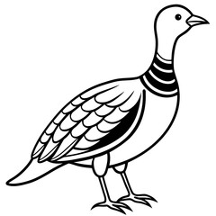 Woodcock line art vector