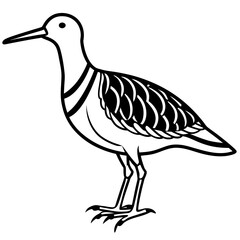 Woodcock line art vector