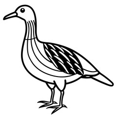 Woodcock line art vector