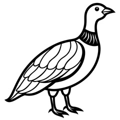 Woodcock line art vector