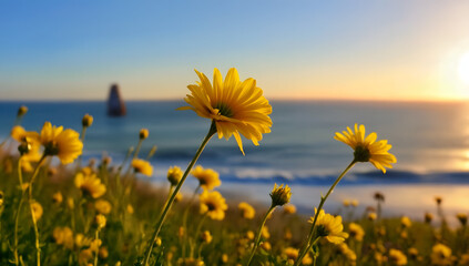 Sunset Coastline Blooms Vibrant Yellow Flowers at Golden Hour