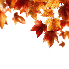 Autumn leaves in vibrant hues (1)