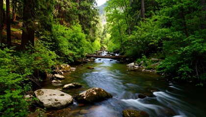 Obraz premium Tranquil forest stream. Lush greenery surrounds a flowing river