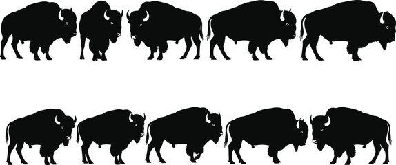 American bison silhouette collection, wild buffalo illustrations, black vector drawings of grazing and walking bisons, wildlife animal design for decoration, print, and art