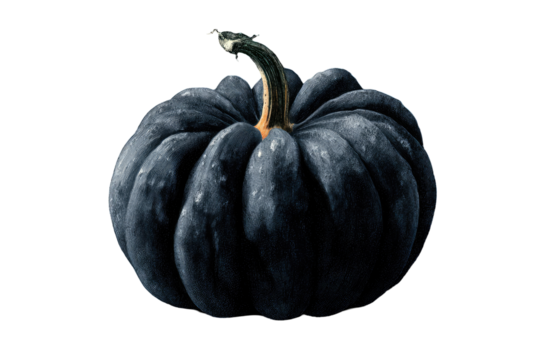 Dark, stylized pumpkin