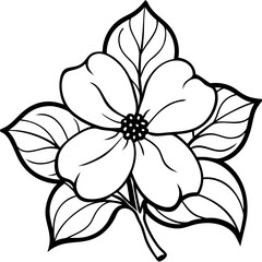 Dogwood line art vector