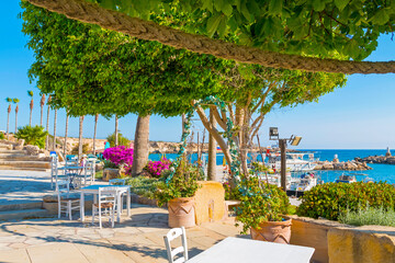 Traditional Greek restaurant in Paphos, Cyprus — whitewashed walls, blue accents, and blooming flowers set the scene for delicious local cuisine in a charming Mediterranean atmosphere.