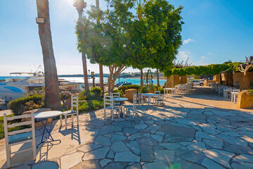 Traditional Greek restaurant in Paphos, Cyprus — whitewashed walls, blue accents, and blooming flowers set the scene for delicious local cuisine in a charming Mediterranean atmosphere.