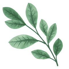 Copy of "Single red maple leaf, isolated on transparent background, realistic watercolor style, high resolution" - 52