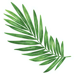 Copy of "Single red maple leaf, isolated on transparent background, realistic watercolor style, high resolution" - 71